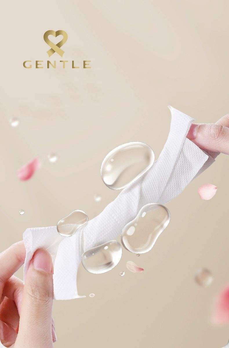 Gentle Mini Tissue (200s 4ply) 50 Pulls