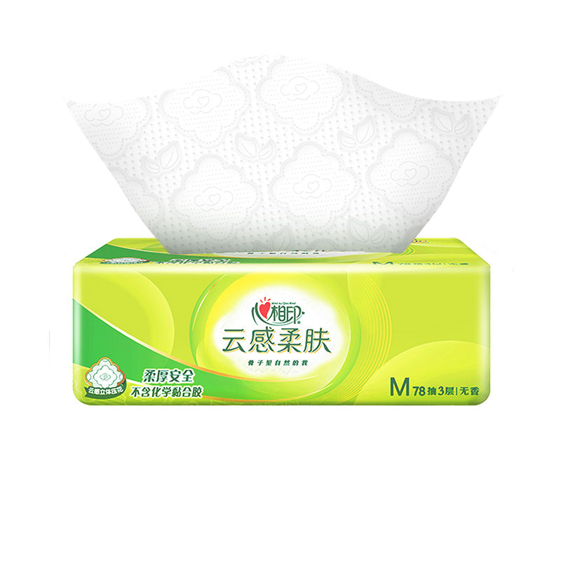 International Tissues Edition Pack of 12 (Buy 1 Get 1 Free) F