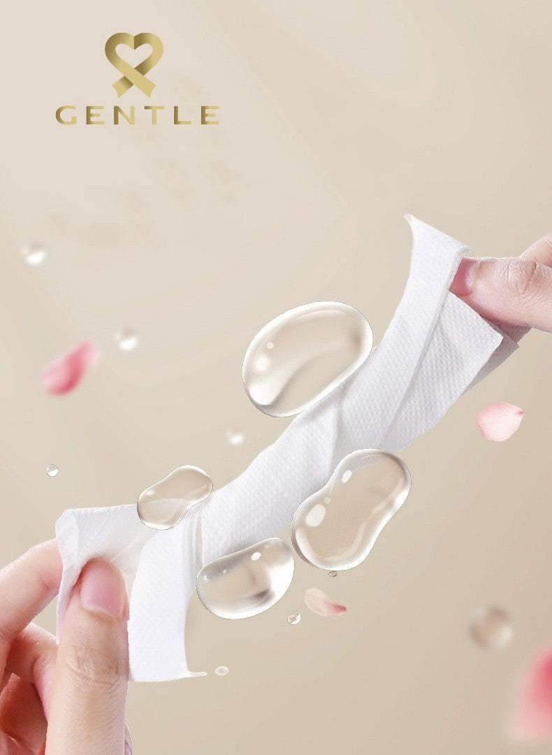 Gentle Mini Tissue - 50 Pulls Pack of 10 (200s 4ply)